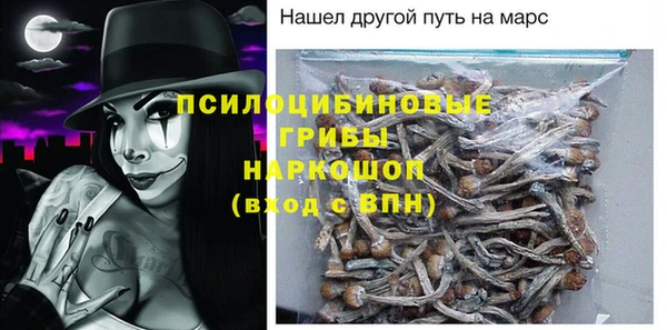 СК Балахна
