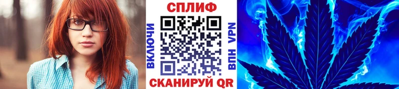 дарнет шоп  Ядрин  omg рабочий сайт  Канабис THC 21% 